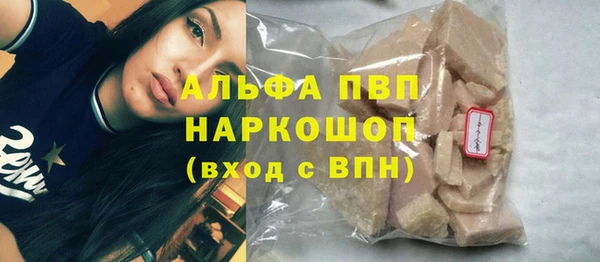 стаф Аркадак