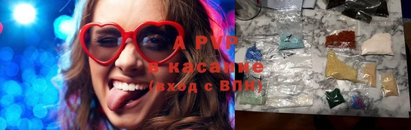 стаф Аркадак