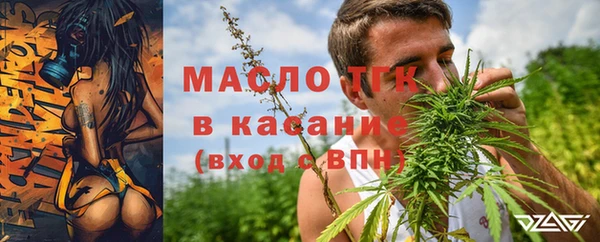 стаф Аркадак