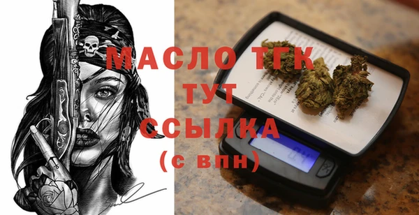стаф Аркадак