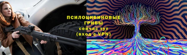 стаф Аркадак